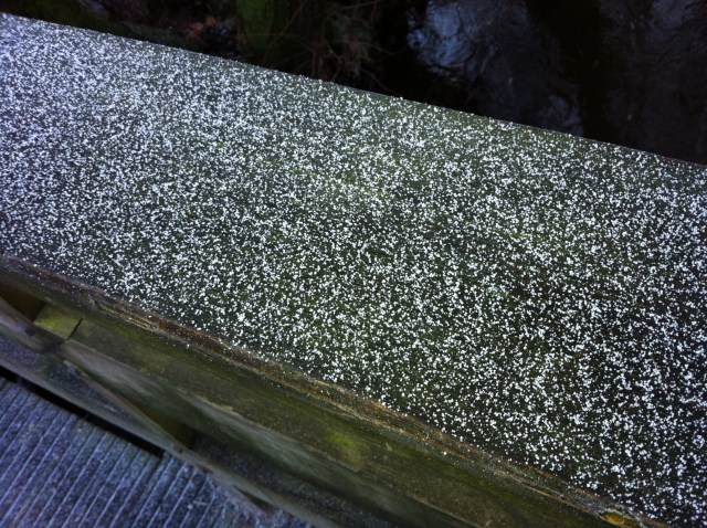 Photo 2013-02-01 9 40 57 AM