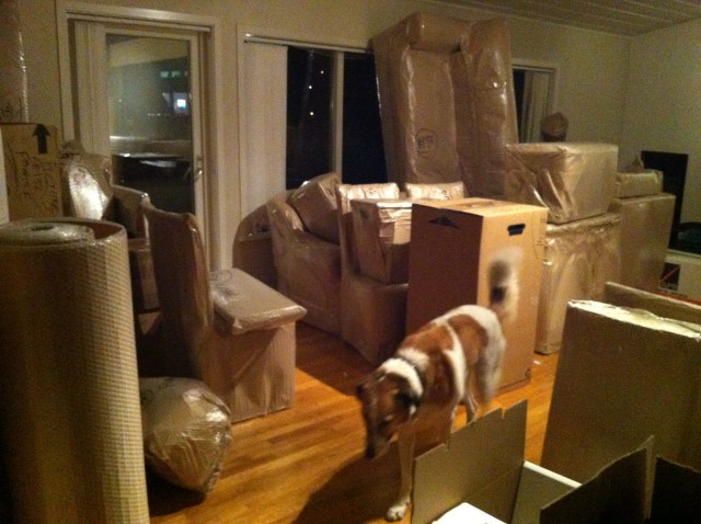 Photo 2013-02-28 11 07 49 PM