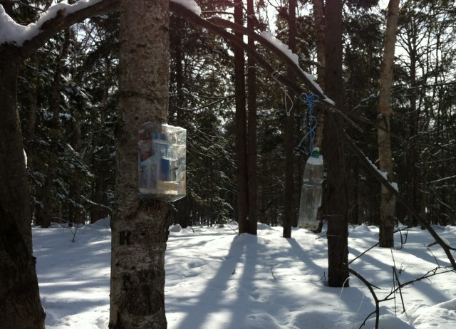 Photo 2013-03-16 11 39 54 AM