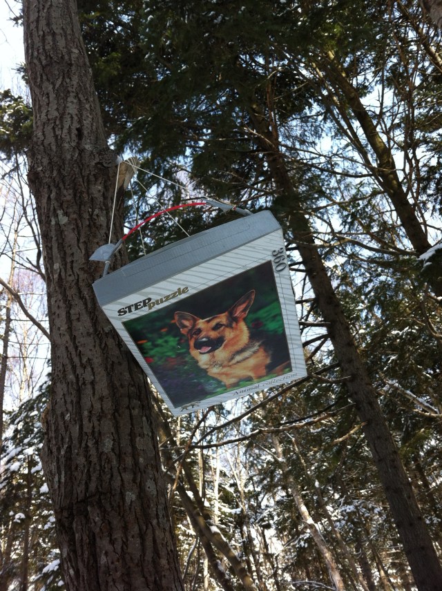 Photo 2013-03-16 11 40 54 AM