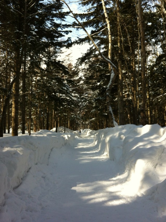 Photo 2013-03-16 11 44 37 AM