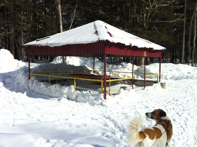 Photo 2013-03-16 11 47 31 AM