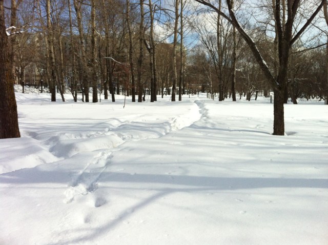 Photo 2013-03-16 12 11 40 PM