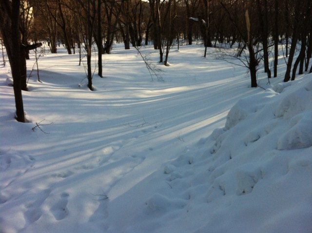 Photo 2013-03-14 9 17 33 AM