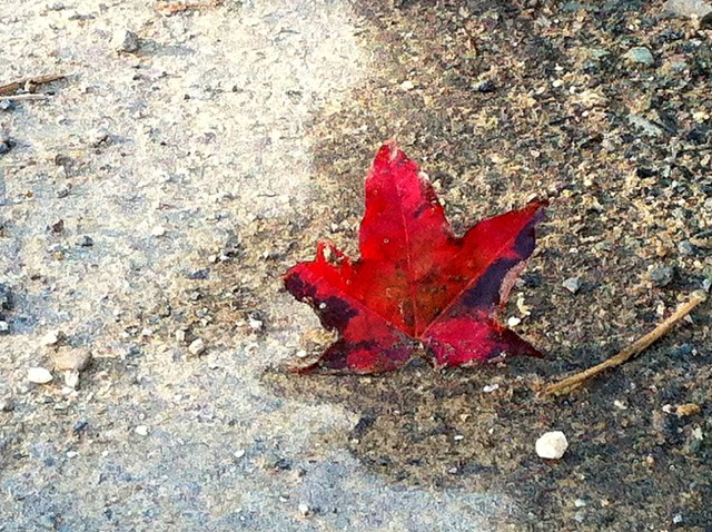 Sign Of The Times???