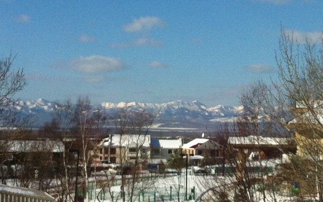 The View from My Sewing Room Window