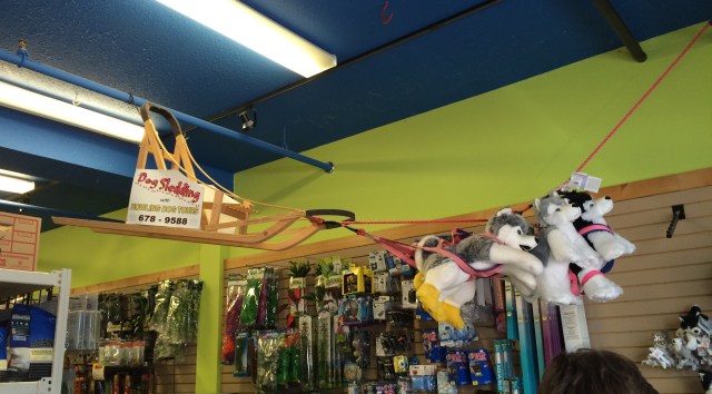 Inside the store where we registered for our trip.